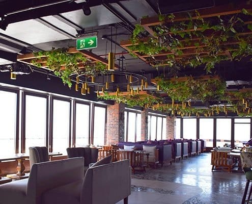 Gallery 3